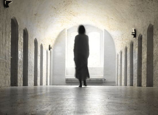 Regression Therapy - Home